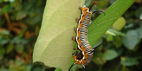 手机号轰炸免费软件